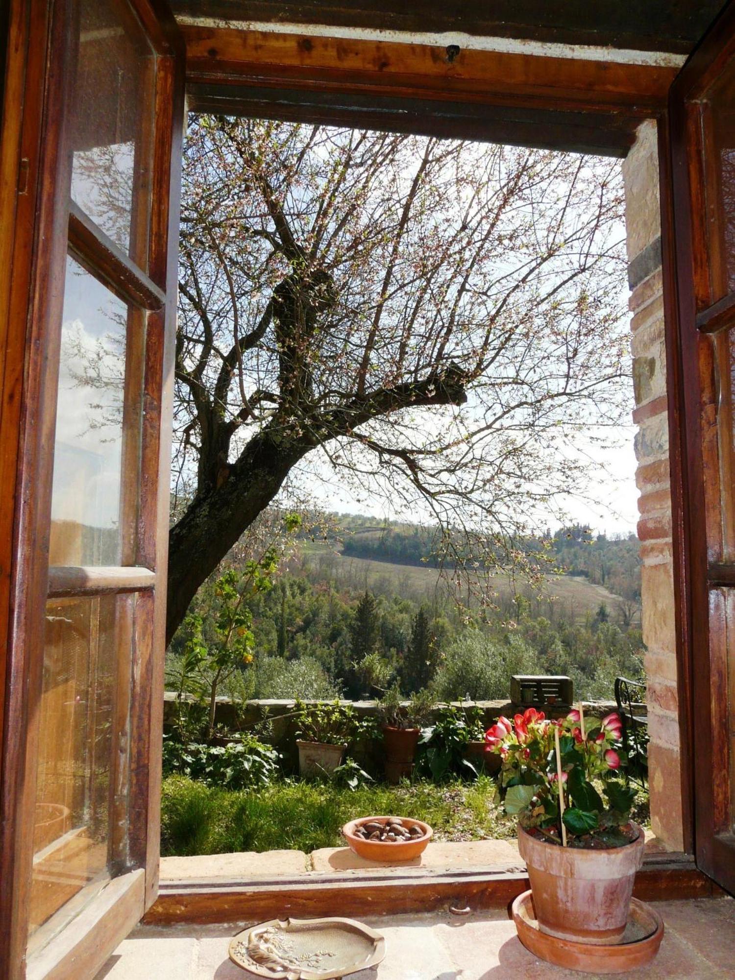 Podere Patrignone Vendégház Castellina in Chianti Szoba fotó